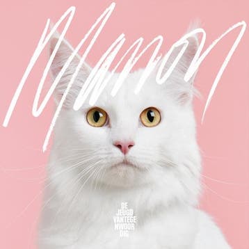 lp nieuw - de jeugd van tegenwoordig - Manon (nieuw), Verzenden, Zo goed als nieuw, Overige formaten