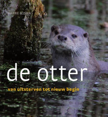 De Otter | Harrie Bosma | Nieuw, Ophalen of Verzenden, Nieuw, Harrie Bosma