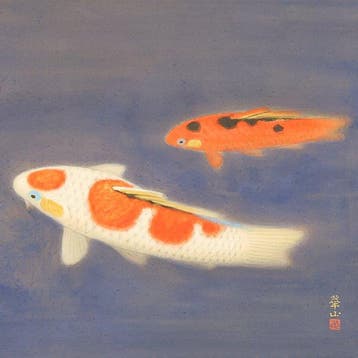 Nishikigoi (Colored Carp) Swimming Two Carp with Original, Antiek en Kunst