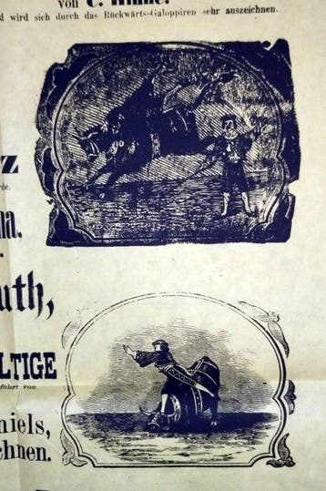 Das Weltwunder der berühmte amerikanische Bulle Don Juan -, Antiek en Kunst