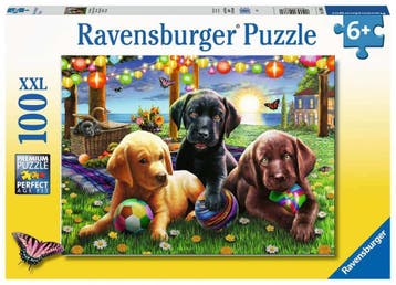 Honden picknick - 100 XXL, Ophalen of Verzenden, Nieuw
