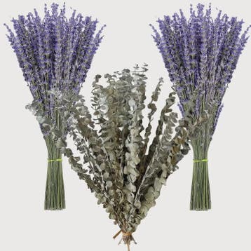 Natuurlijke Gedroogde Lavendel & Eucalyptus Set - 147 Stuks, Huis en Inrichting, Verzenden, Nieuw
