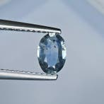 Zonder minimumprijs Blauw Saffier - 0.75 ct - International, Sieraden, Tassen en Uiterlijk, Edelstenen, Nieuw