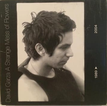 cd - David Garza - A Strange Mess Of Flowers 4-CD+DVD, Verzenden, Zo goed als nieuw
