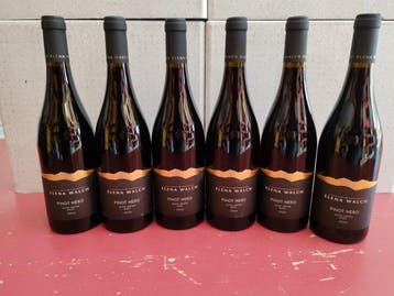 2024 Elena Walch Pinot Nero - Trentino Alto Adige - 6, Nieuw