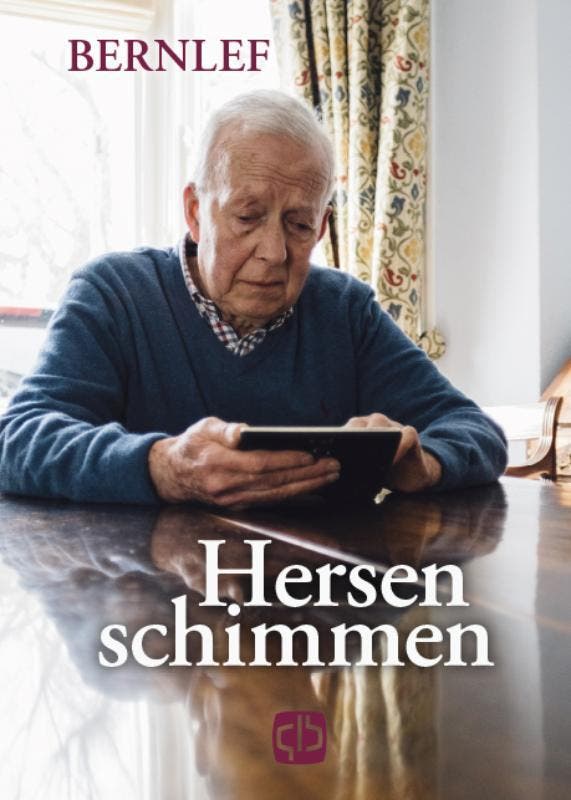 Hersenschimmen / Grote letter bibliotheek / 3767 Bernlef, Boeken, Romans, Zo goed als nieuw, Verzenden