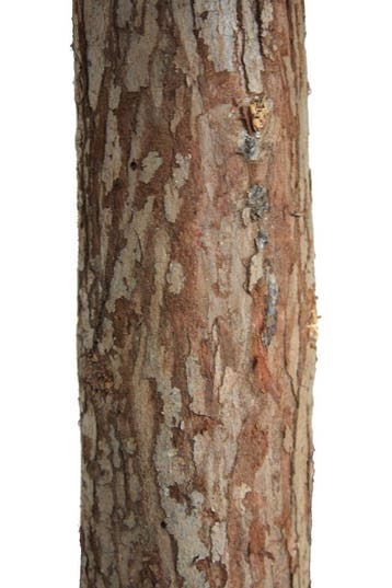 Sneeuw Kerstboom 180cm | Laatste Stuks!, Ophalen of Verzenden, Nieuw