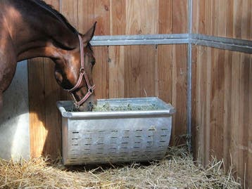 Paarden slowfeeder groot, hooiruif met rantsoenrooster, Ophalen of Verzenden, Nieuw