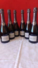 Barone Pizzini, Animante - Franciacorta - 6 Flessen (0.75, Verzamelen, Wijnen, Nieuw