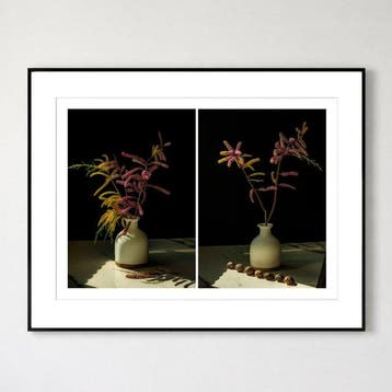 Elena Paraskeva - Sol et Umbra – Tamarix & Snails Diptych, Antiek en Kunst