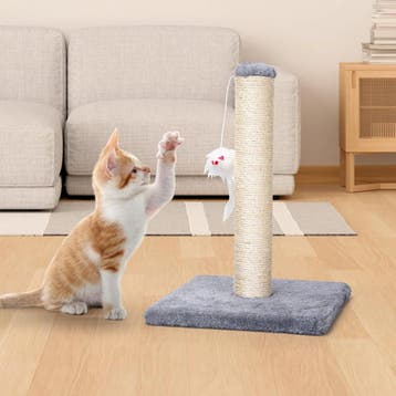 Krabpaal voor katten - 25x25x35 cm - Grijs - Nobleza, Verzenden, Zo goed als nieuw