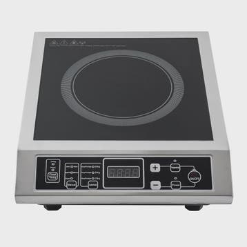 Professionele 3500W Inductie Kookplaat - Draagbaar & met Tim, Verzenden, Nieuw