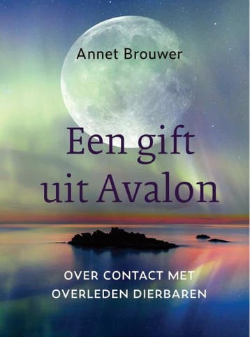 Een gift uit Avalon - Annet Brouwer 9789493175846, Verzenden, Gelezen, Annet Brouwer