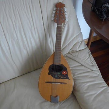 Alfredo Privitera - Mandolino Napoletano - - Mandoline -, Nieuw