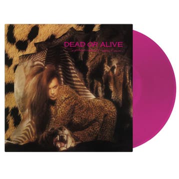 Dead Or Alive - Sophisticated Boom Boom, Nieuw in verpakking, 12 inch