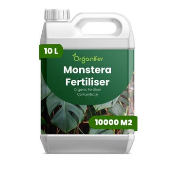 Monstera Vloeibare Meststof - 10 liter, Verzenden, Mest