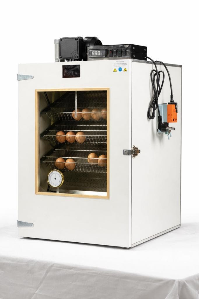 MS broedmachine 140 Slaglatten + gratis broedeitjes, Dieren en Toebehoren, Pluimvee | Toebehoren, Nieuw, Ophalen of Verzenden