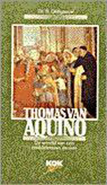 THOMAS VAN AQUINO - Bernard Delfgaauw 9789024275236, Verzenden, Gelezen, Bernard Delfgaauw