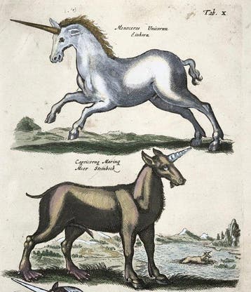 Matthäus Merian (1593-1650) - hand coloured engraving -