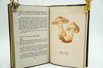 Paul Ramain / J.-V. Prost - Myco Gastronomie - 1954