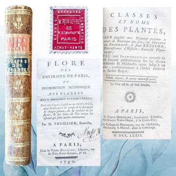 Thuillier M & Buisson J.P - La flore des environs de Paris /