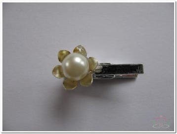 Flowerclip Metal Parelbloem knijpertjes 24 stuks, Ophalen of Verzenden, Nieuw