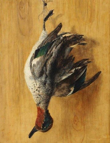 British School (XlX) - Still Lifr Teal Duck, Antiek en Kunst