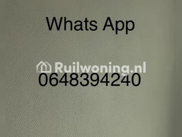 WERVERSHOOF Noord Holland beschikbaar