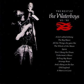 cd - The Waterboys - The Best Of The Waterboys 81 - 90, Cd's en Dvd's, Verzenden, Zo goed als nieuw