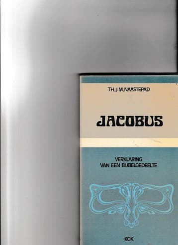JACOBUS (VB) - J. NAASTEPAD 9789024226177, Verzenden, Gelezen, J. NAASTEPAD