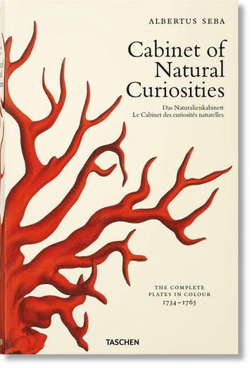 9783836569064 Cabinet of Natural Curiosities | Tweedehands, Verzenden, Zo goed als nieuw, Irmgard Musch