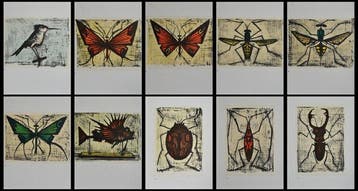 Bernard Buffet (1928-1999) - Les Insectes : 10 lithographies