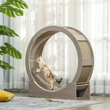 Katten Loopwiel 91cm – Trainingswiel met Rem en Krabmat, Dieren en Toebehoren, Verzenden, Nieuw