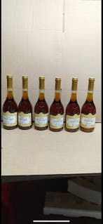 2000 Andrassy Pinceszet Aszu Essencia - Tokaj - 6 Jennies, Nieuw