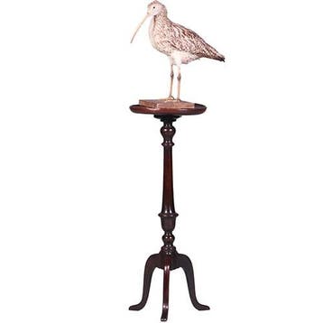 Hoge Engelse Tripod wine table zeer donker bijna zwart eik, Ophalen of Verzenden