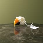Edelpapegaai Schedel Taxidermie Opgezette Dieren By Max, Verzamelen, Dierenverzamelingen, Ophalen of Verzenden, Nieuw, Vogel, Opgezet dier