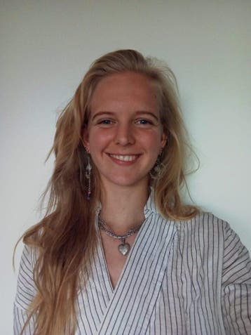 Wiskunde bijles online voor havo en vwo, Privéles, Bijles
