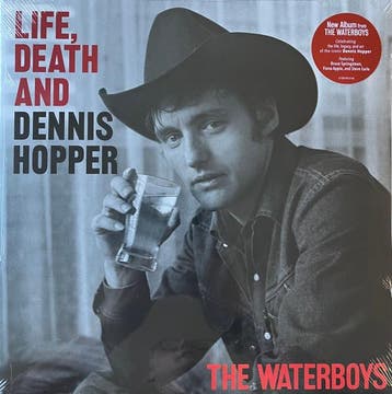 The Waterboys - Life, Death And Dennis Hopper, Ophalen of Verzenden, Gebruikt