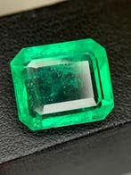 1 pcs Groen Smaragd - 11.31 ct - Guild Gem Laboratory, Nieuw