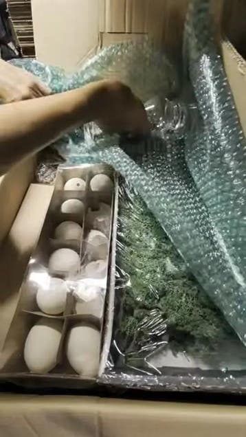 Restantenbox voorjaar eieren, vogels, veren, doos, Ophalen of Verzenden, Nieuw