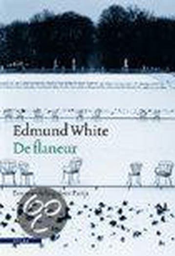 De flaneur 9789045005621 E. White, Verzenden, Gelezen, E. White