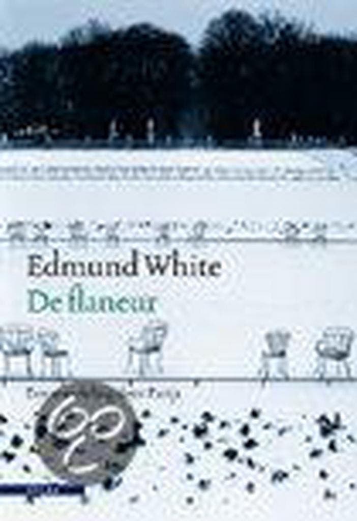 De flaneur 9789045005621 E. White, Boeken, Reisverhalen, Gelezen, Verzenden