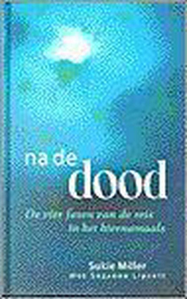 NA DE DOOD (SERVIRE) 9789063255497 S. Miller, Boeken, Filosofie, Zo goed als nieuw, Verzenden
