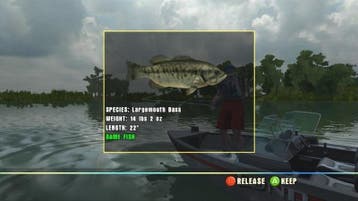 Rapala Tournament Fishing (Nintendo wii nieuw), Ophalen of Verzenden, Nieuw