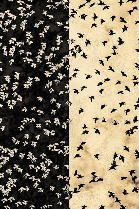 Jorge Omeñaca - Birds & Birds, Antiek en Kunst, Kunst | Designobjecten