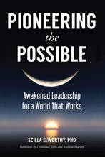 Pioneering the Possible 9781583948620 Scilla Elworthy, Verzenden, Gelezen, Scilla Elworthy