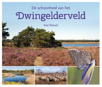 De schoonheid van het Dwingelderveld - Axel Wiewel, Boeken, Verzenden, Gelezen, Axel Wiewel
