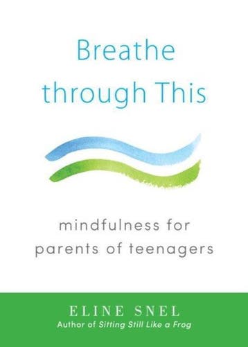 Breathe Through This 9781611802467 Eline Snel, Boeken, Verzenden, Gelezen, Eline Snel