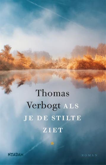 Als je de stilte ziet - Thomas Verbogt 9789046826621, Verzenden, Gelezen, Thomas Verbogt