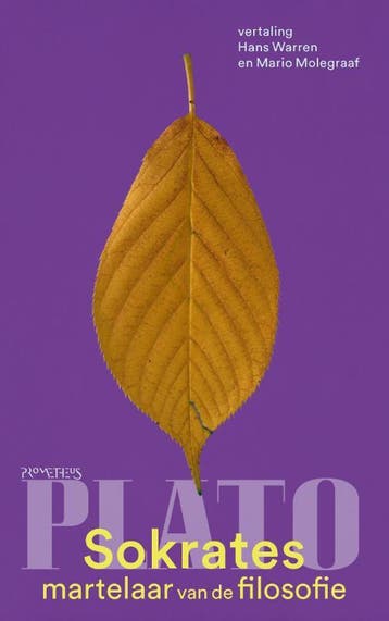 Sokrates, martelaar van de filosofie - Plato 9789044641950, Verzenden, Gelezen, Plato